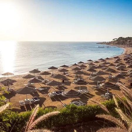 Domina Coral Bay Properties